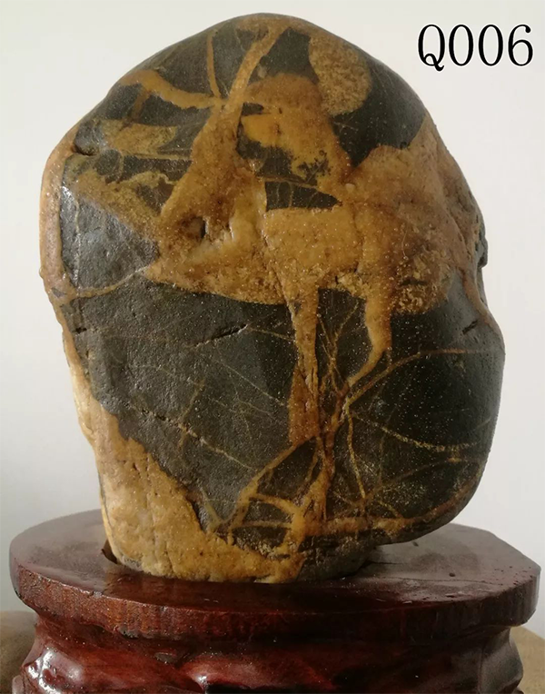 V35511个人收藏奇石与雕刻艺术品展419.png